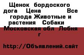 Щенок  бордоского  дога. › Цена ­ 60 000 - Все города Животные и растения » Собаки   . Московская обл.,Лобня г.